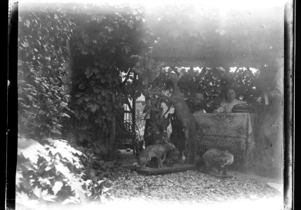 ArCJ - 1 homme, 2 femmes - 137 J 2947 a