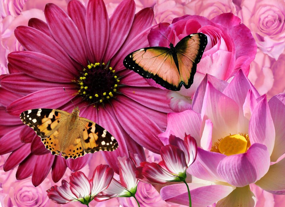Mother's day congratulation desktop