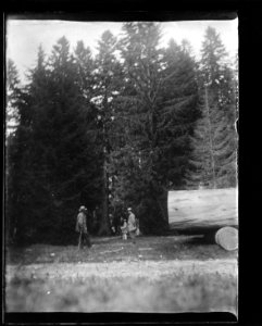 ArCJ - 3 hommes - 137 J 714 a