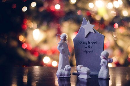 Sheep star display