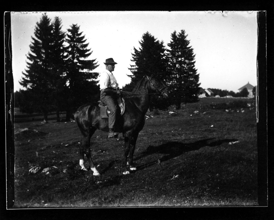 ArCJ - Cheval - 137 J 1135 a