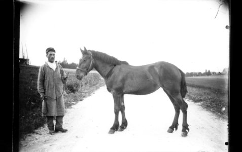 ArCJ - Cheval - 137 J 1813 b