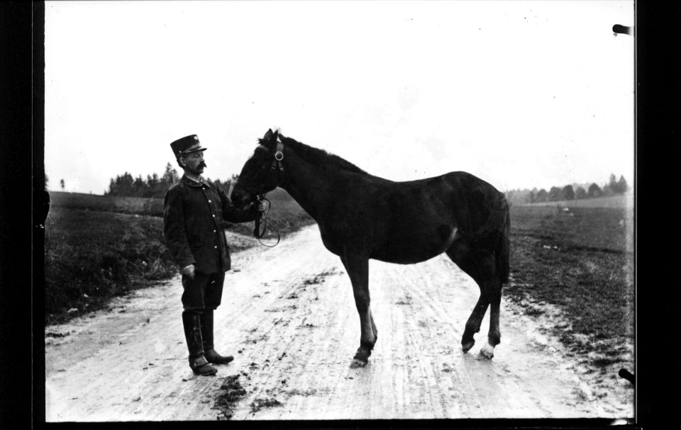 ArCJ - Cheval - 137 J 1991 b