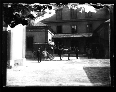 ArCJ - Cheval - 137 J 2311 a