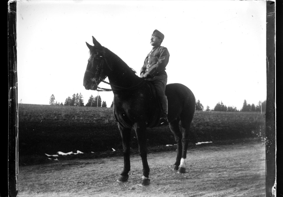 ArCJ - Cheval - 137 J 2569 a