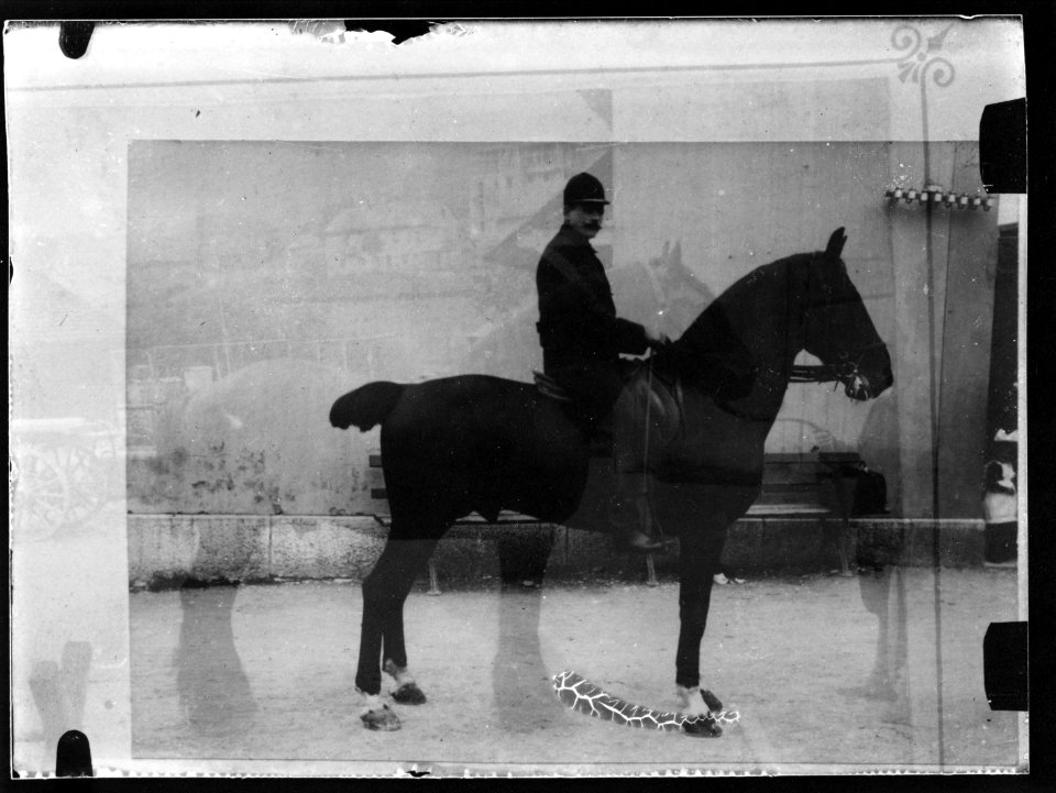 ArCJ - Cheval - 137 J 1128 a