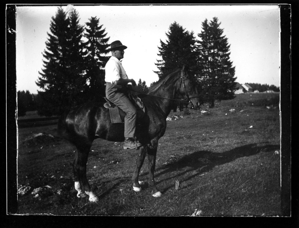 ArCJ - Cheval - 137 J 1134 a