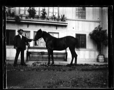 ArCJ - Cheval - 137 J 2282 a