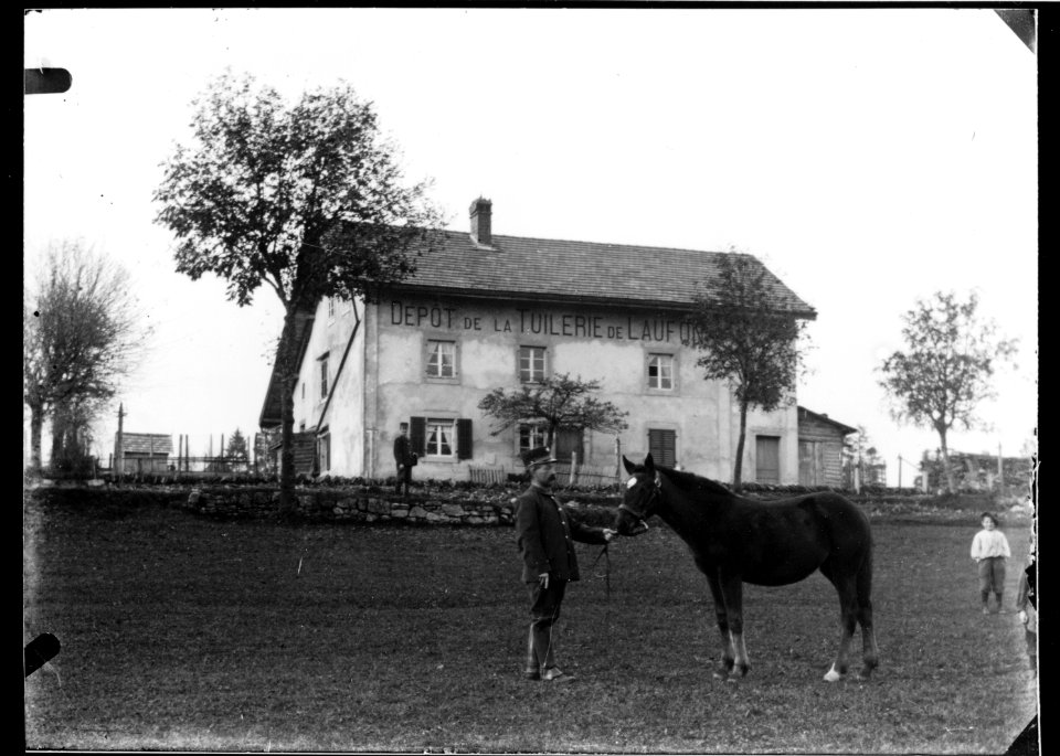 ArCJ - Cheval - 137 J 2544 a