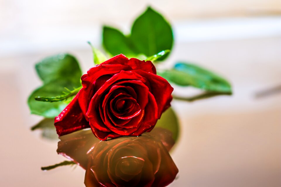 Love romance 8th of march