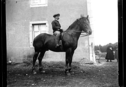 ArCJ - Cheval - 137 J 2690 a