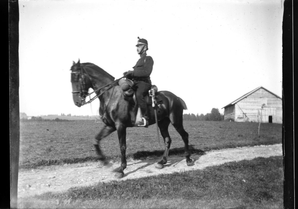 ArCJ - Cheval - 137 J 2570 a