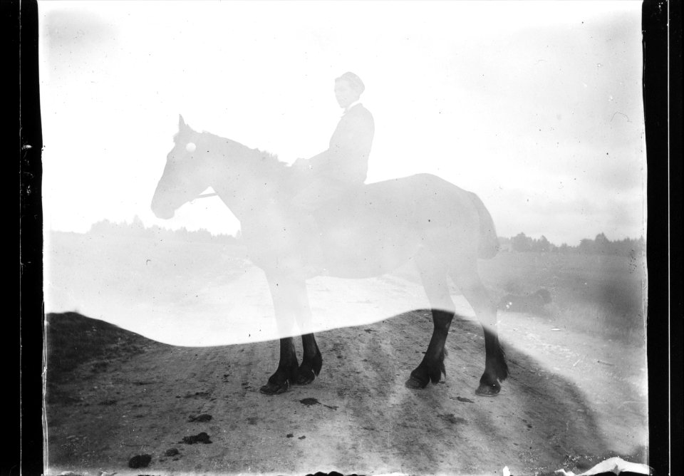 ArCJ - Cheval - 137 J 2710 a