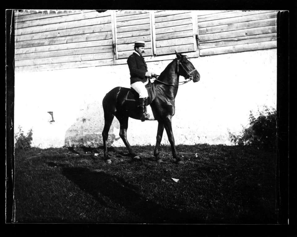 ArCJ - Cheval - 137 J 832 a