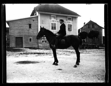 ArCJ - Cheval - 137 J 642 a