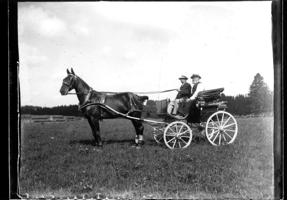 ArCJ - Cheval - 137 J 2832 a