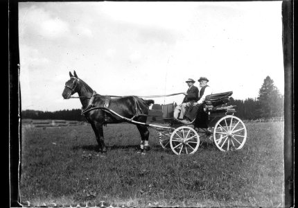 ArCJ - Cheval - 137 J 2832 a