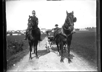 ArCJ - Deux chevaux - 137 J 2607 a