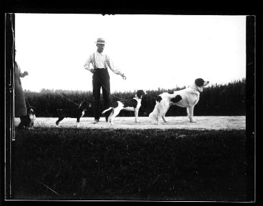 ArCJ - Chien - 137 J 1917 a