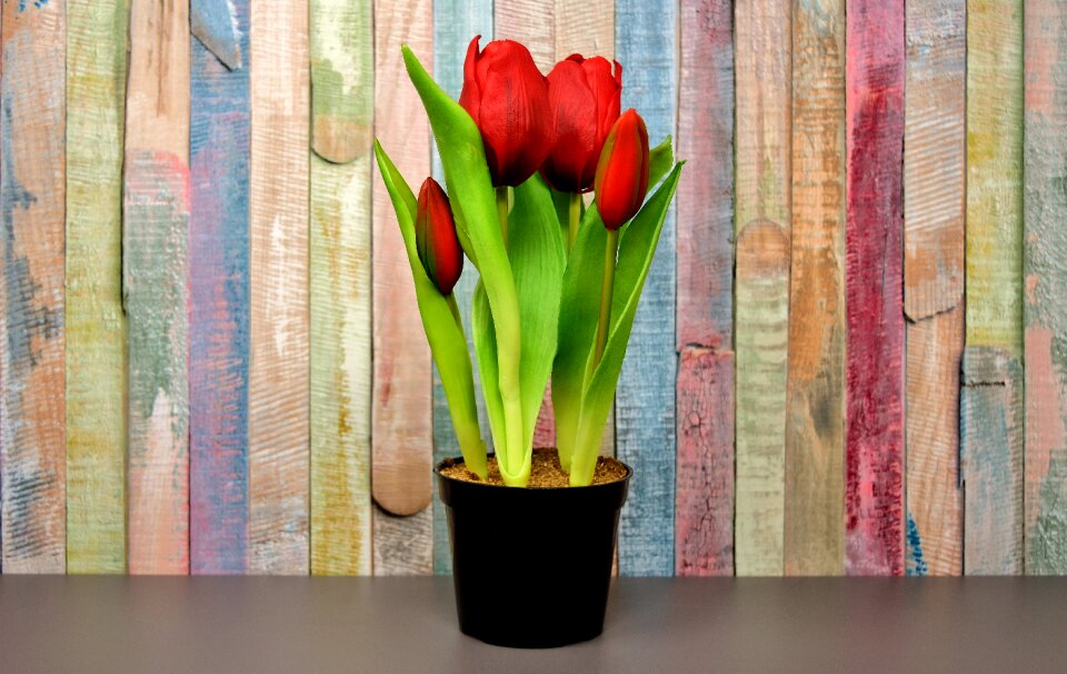 Artificial spring red