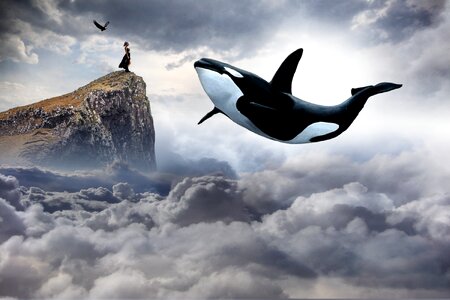 Cloud dramatic whale