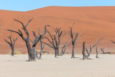 Africa namibia namib-naukluft park