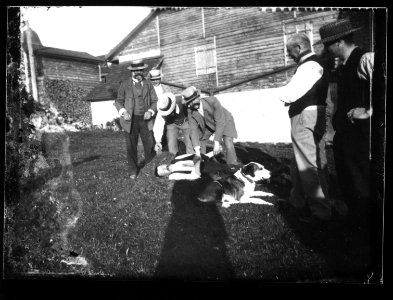 ArCJ - Hommes - 137 J 672 a