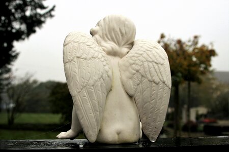 Cemetery autumn www