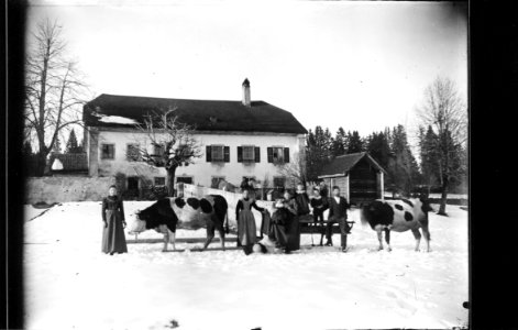 ArCJ - La Ferrière, Droit de Renan, Maison - 137 J 339 b