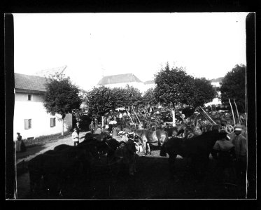 ArCJ - Les Bois, Cheval - 137 J 1692 a