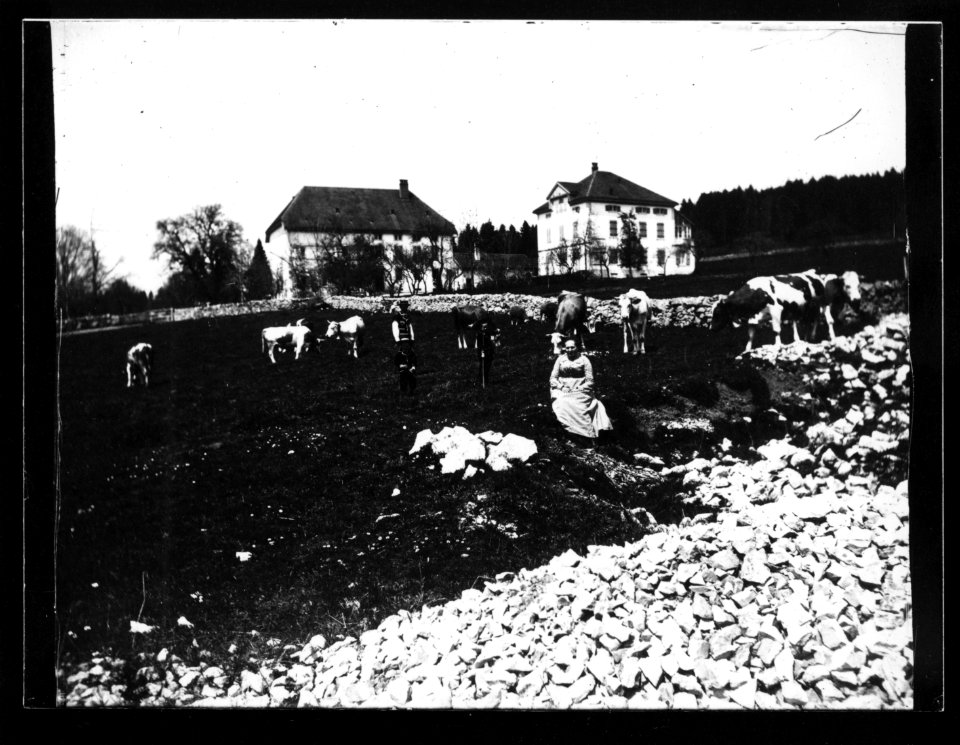 ArCJ - Les Bois - La Ferrière, Les Rochats, Deux maisons - 137 J 1879 a