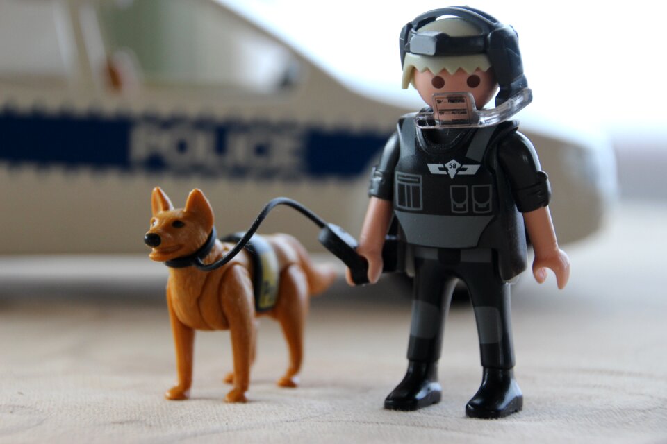 Depth of field toys playmobil