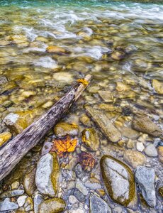 Wave leaves autumn photo