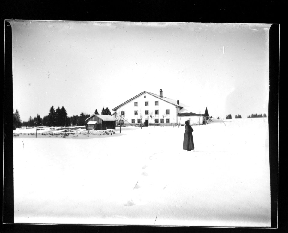 ArCJ - Les Bois, La Large Journée, Maison - 137 J 736 a