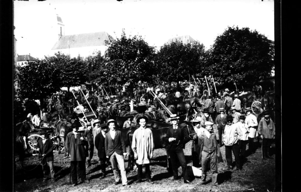 ArCJ - Les Bois, Groupe - 137 J 186 b