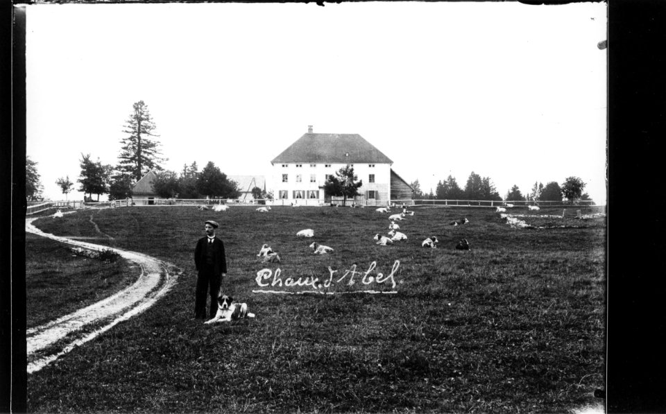 ArCJ - Les Bois, La Grande Chaux d'Abel, Maison - 137 J 340 b