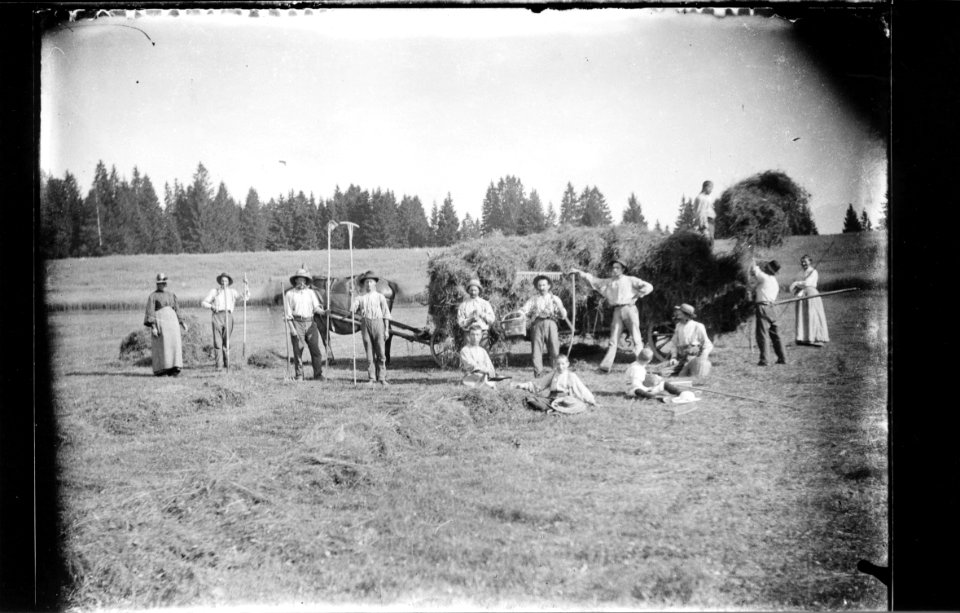 ArCJ - Les Bois, La Chaux d'Abel, Groupe - 137 J 106 b