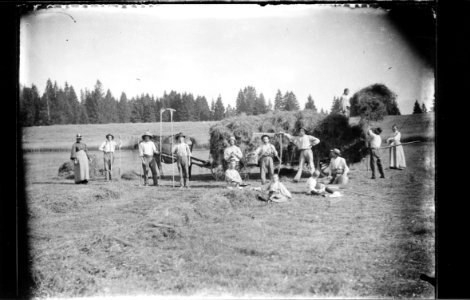 ArCJ - Les Bois, La Chaux d'Abel, Groupe - 137 J 106 b