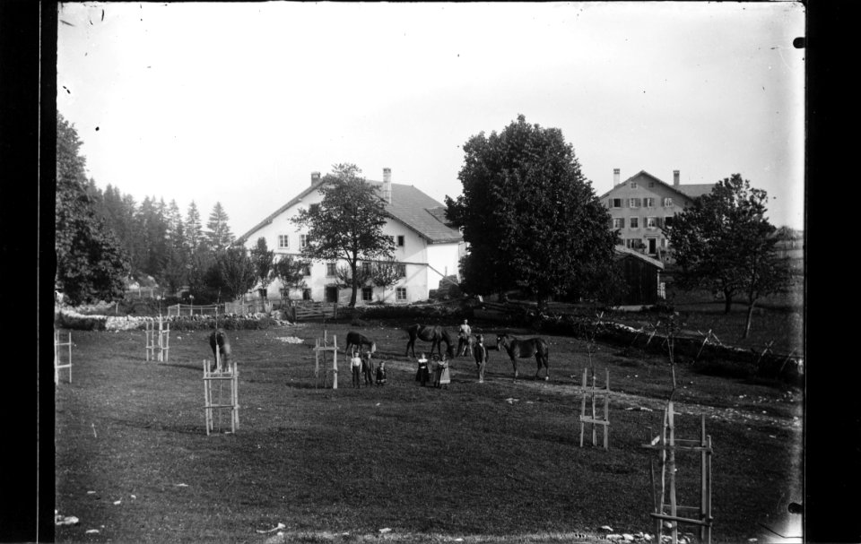 ArCJ - Les Bois, Le Bois Français, Maison - 137 J 311 b