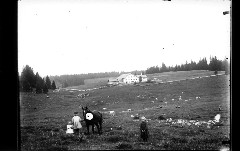 ArCJ - Les Bois, La Grande Chaux d'Abel, Maison - 137 J 1320 b