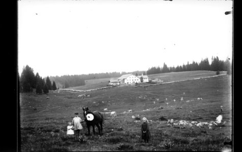 ArCJ - Les Bois, La Grande Chaux d'Abel, Maison - 137 J 1320 b