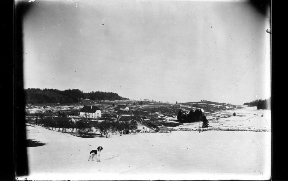 ArCJ - Les Bois, Les Prailats, Vue générale - 137 J 1318 b