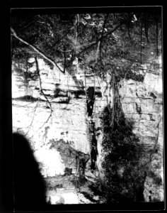 ArCJ - Les Bois, Les Echelles de La Mort, Groupe - 137 J 798 a