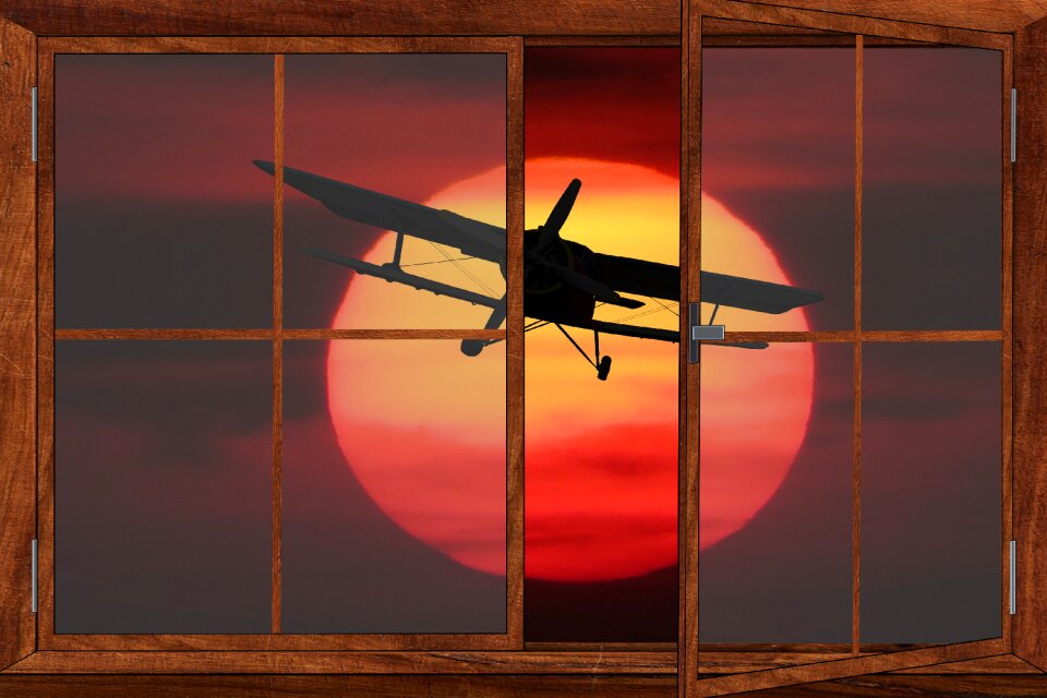 Evening sun sunset flying
