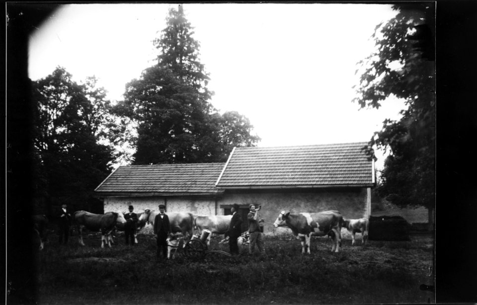 ArCJ - Les Bois, Loge des Paupe - 137 J 167 b