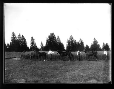 ArCJ - Les Bois, Trois chevaux - 137 J 1834 c