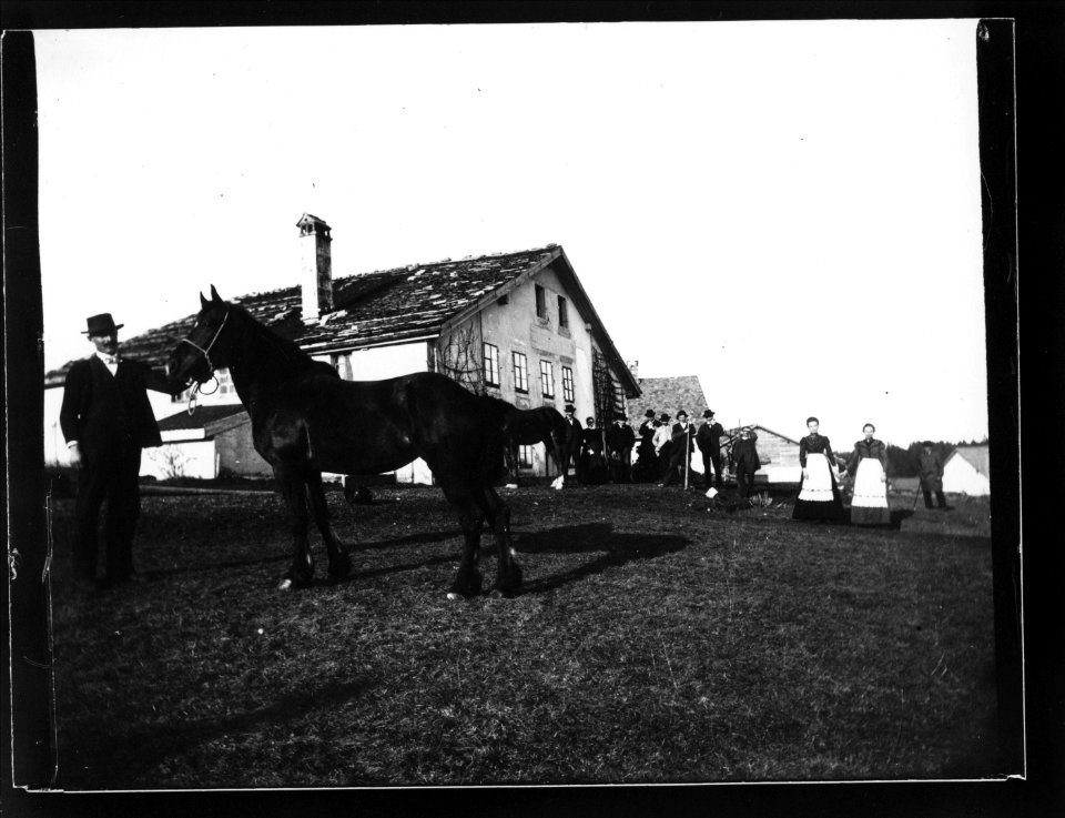 ArCJ - Maison - 137 J 2296 a