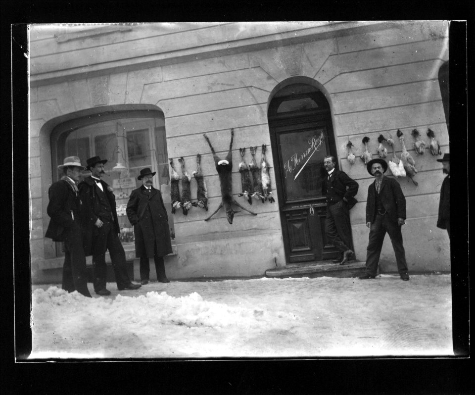 ArCJ - Maison - 137 J 1404 a