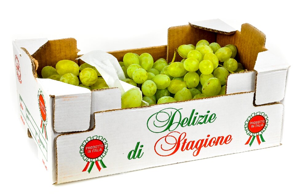 Food fruit healthy
