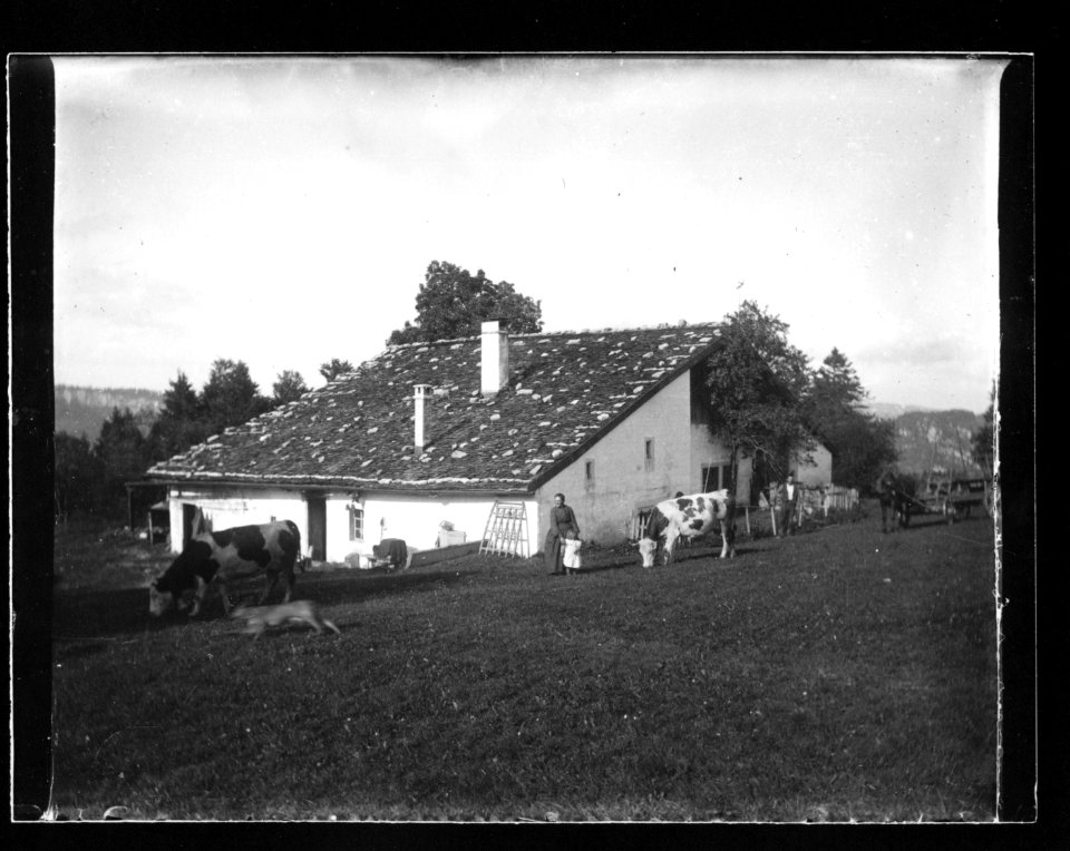 ArCJ - Maison - 137 J 544 a